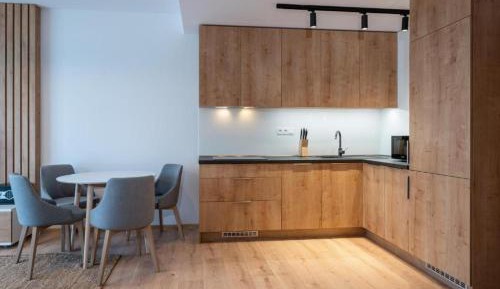 One-Bedroom Apartment with Terrace