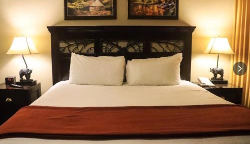 Deluxe King Suite