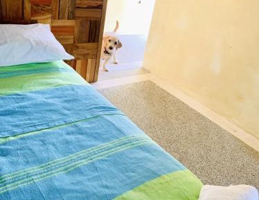 Classic Quadruple Room