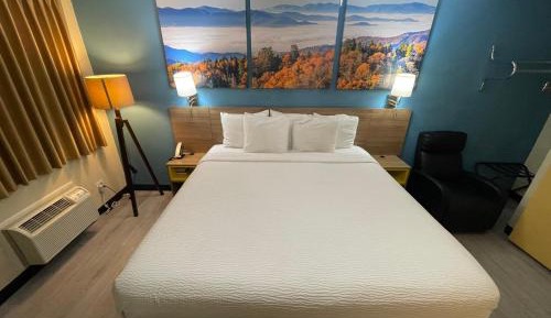 Large Single Room