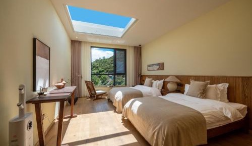 Superior Double or Twin Room with Terrace