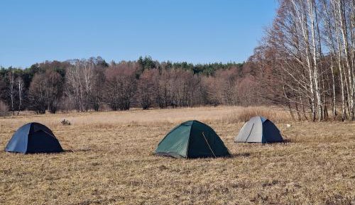 Tent