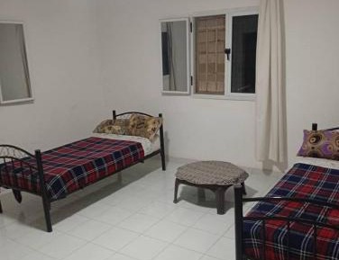Bed in 4-Bed Dormitory Room