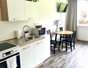 One-Bedroom Apartment with Terrace
