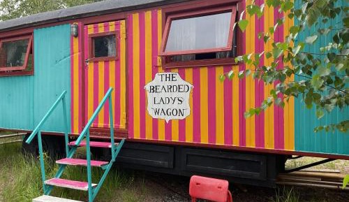 The Bearded Lady's Room
