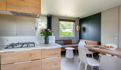 Mobile Home