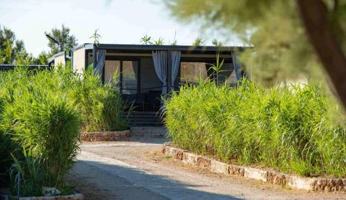 Aura Mobile Home