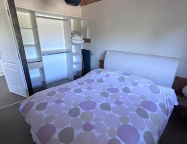 King Room with Garden View