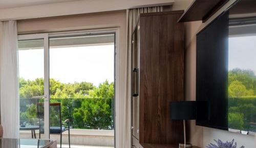 One-Bedroom Apartment with Balcony and Sea View