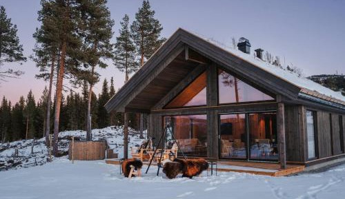 Holiday Home