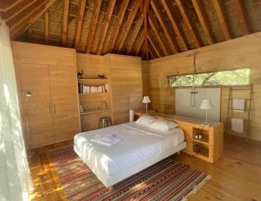 King Room with Garden View