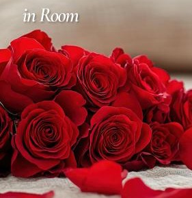 Deluxe Double or Twin Room with Spa Bath