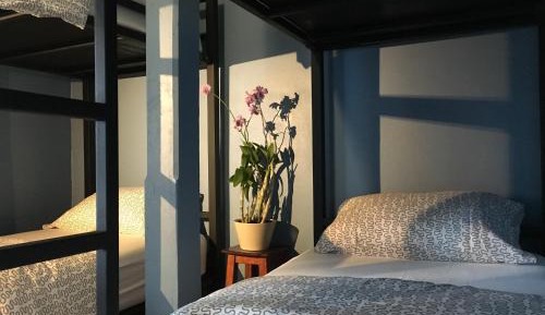  Bed in 4-Bed Mixed Dormitory Room with Shared Bathroom