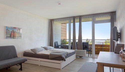 Superior One-Bedroom Apartment with Balcony