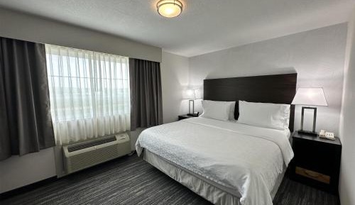 Two-Room King Suite with Sofa Bed - Non-Smoking