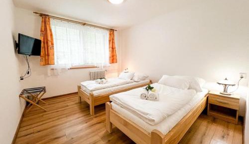 Standard Twin Room with Garden View