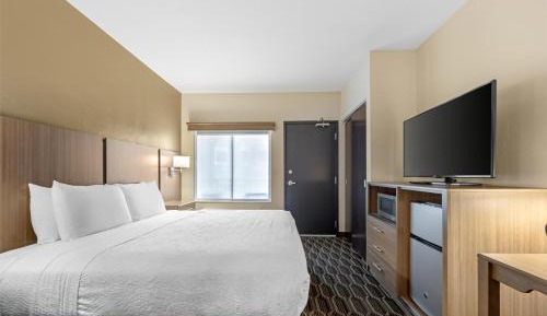 King Room with Sofa Bed and Roll-In Shower  - Disability Access