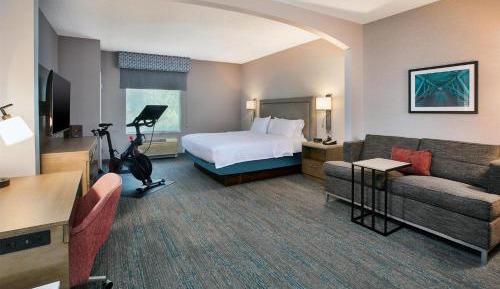 King Room with Sofa Bed and Peleton Bike - Non-Smoking