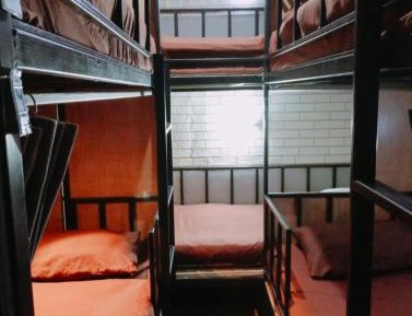 Bed in 4-Bed Mixed Dormitory Room