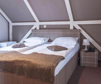 Double Room - Hanul cu Ursi