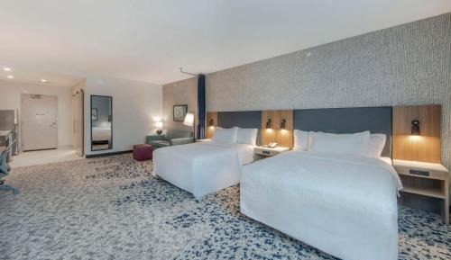 Queen Studio Suite - Mobility/Hearing Accessible 