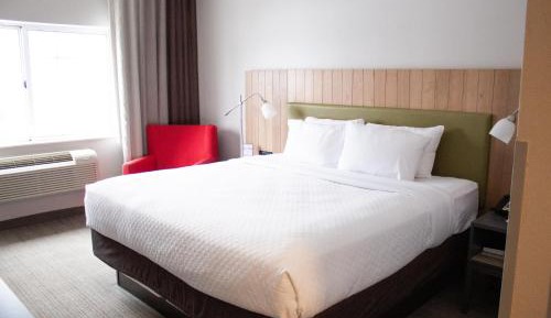 King Room with Roll-in Shower - Disability Access/Non-Smoking
