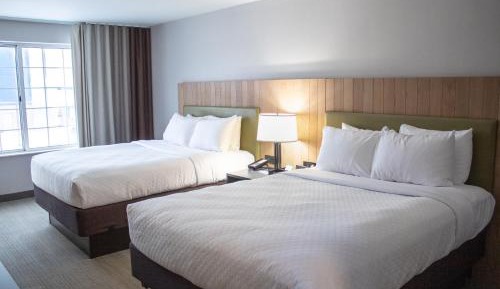 Queen Room with Two Queen Beds - Hearing Accessible