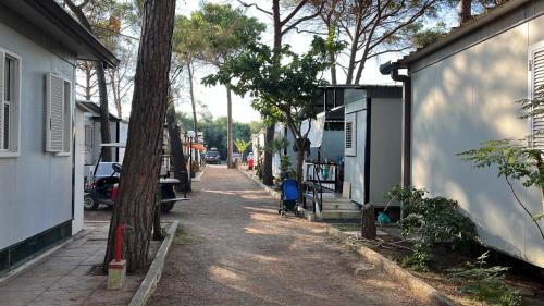 Mobile Home