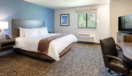Queen Room - Hearing & Mobility Accessible - Roll In Shower