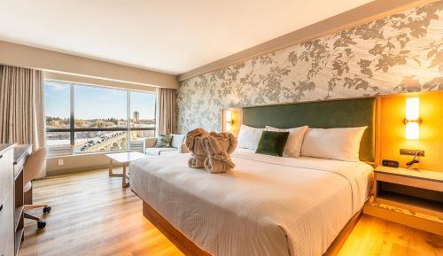 Executive King Room