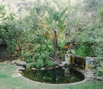 Deluxe Bungalow