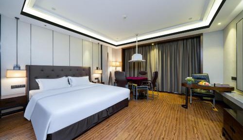 Executive Entertainment Room