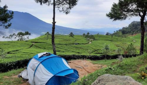 Double Room with Mountain View
