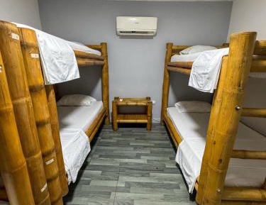Bed in 6-Bed Mixed Dormitory Room
