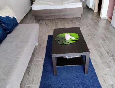 One-Bedroom Apartment with Garden View