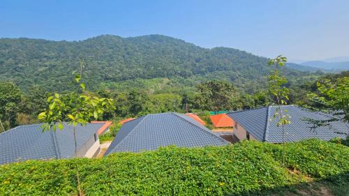 Suite with Mountain View