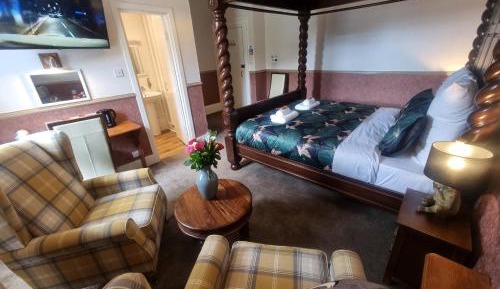 Superior Queen Room