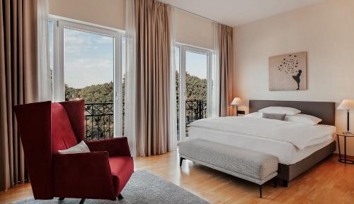 Superior double room with spa park view & balcony