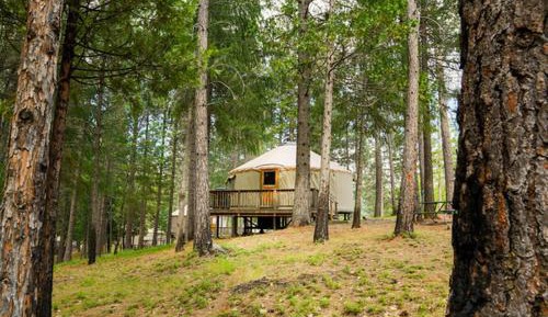 Yurt - Hill
