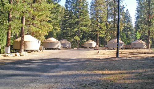 Yurt - Meadow