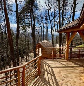 Family Tree House