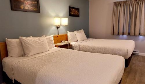 Standard  Double Room