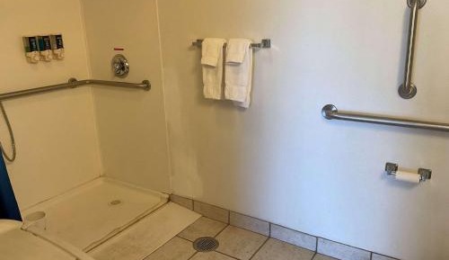 Queen Room with One Queen Bed and Roll-In Shower - First Floor - Mobility Accessible - Non-Smoking - Mobility Accessible - First Floor