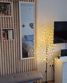 Studio with Terrace