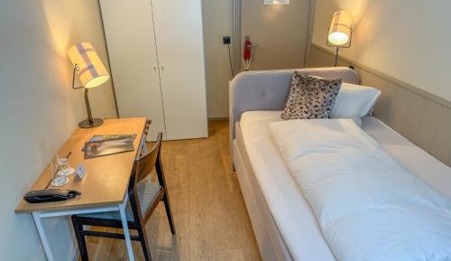 Single Room with Mountain View