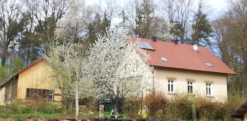 Four-Bedroom Holiday Home