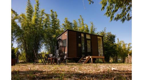 Mobile Home