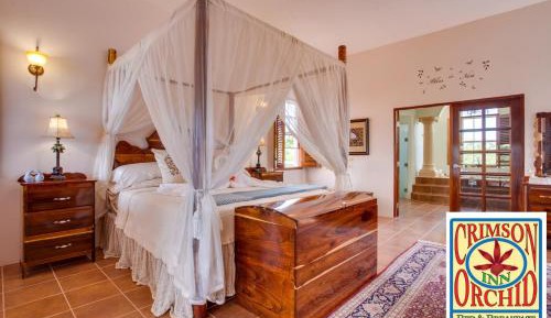 Deluxe King Suite