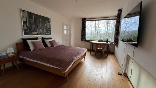 King Room with Garden View