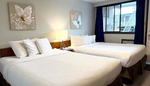 Double Room with Two Double Beds